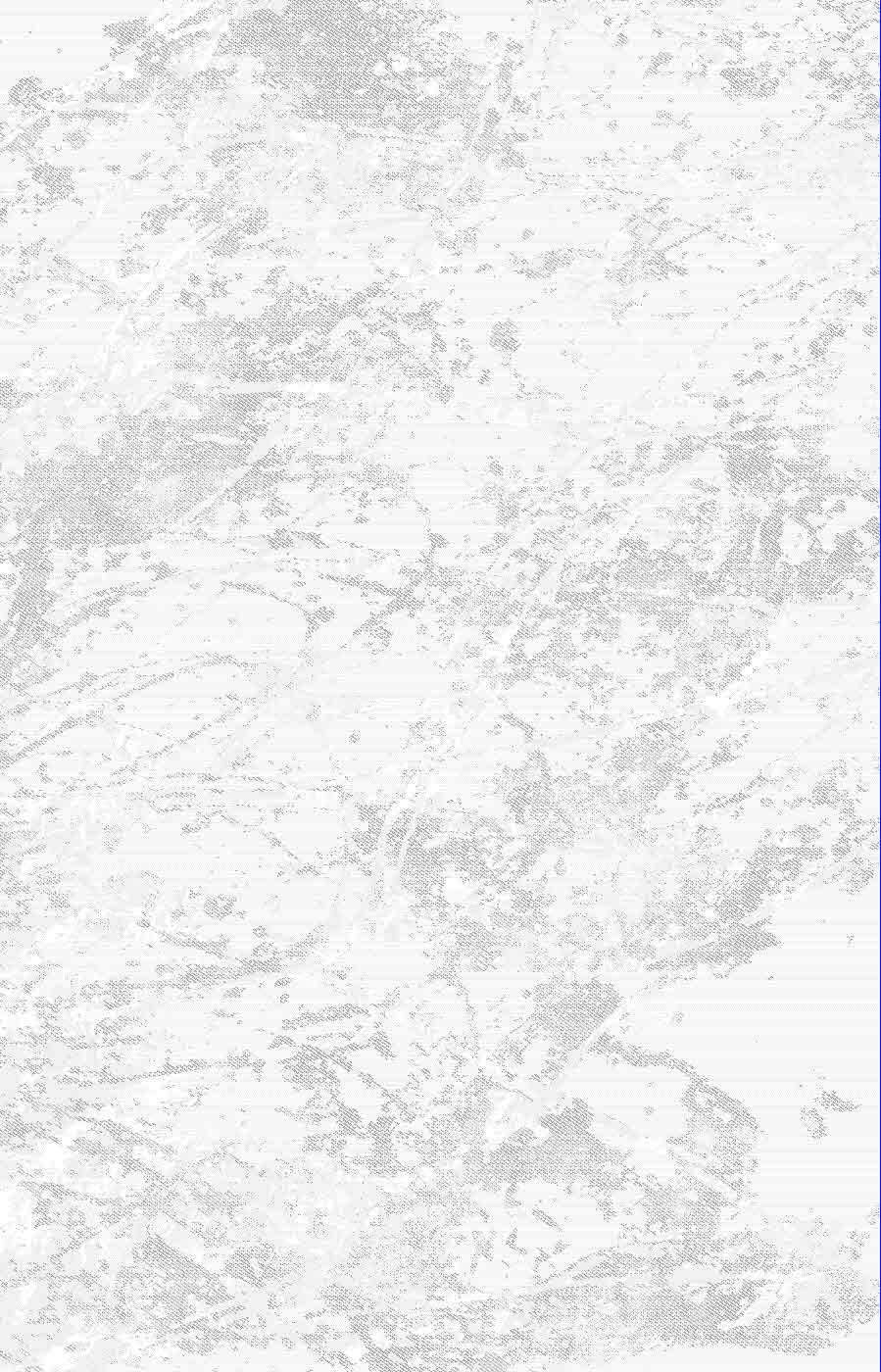 T2497_CREAM_GREY